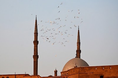 mosque