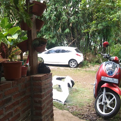 car-rental