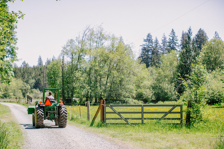 Hungry Hollow Farm by null
