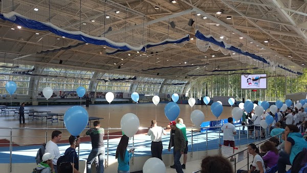 Гармония томск спортивный комплекс