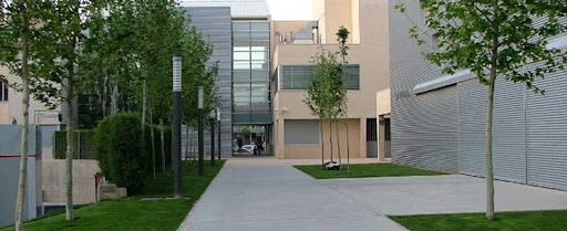 Cuarte forum - Visual