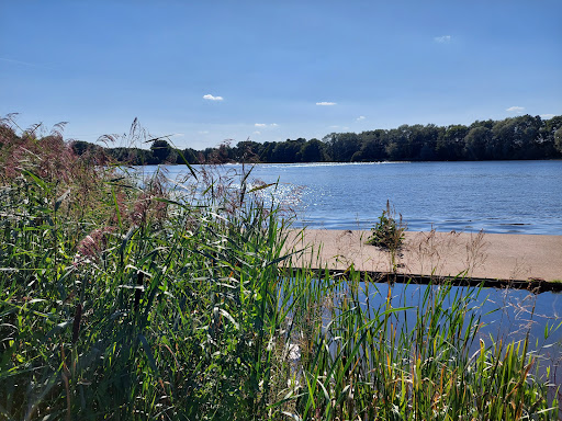 Grunopark - Visual