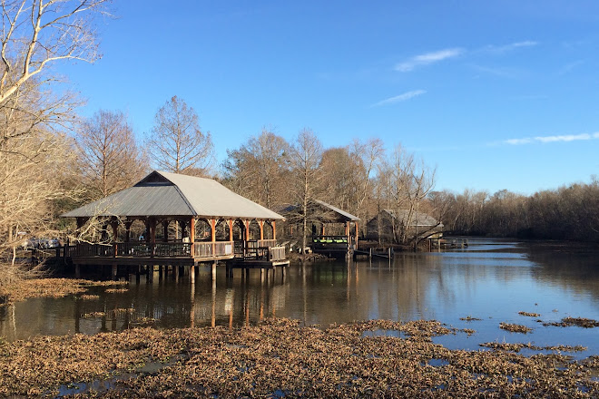 Visit Lake Fausse Pointe State Park On Your Trip To Saint Martinville