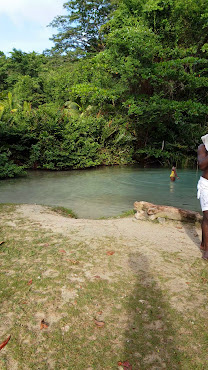 Winnifred Beach by null
