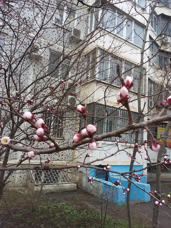 Государственное бюджетное учреждение краснодара