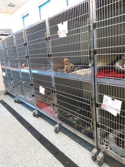 Photos of Foothills Animal Shelter