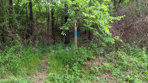 Pinhoti Trail Hawkins Hollow Co Rd 8 - Thumbnail