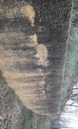 Photo n°18 de PEINTURE ET COUVERTURE à Vic-en-Bigorre (Peintre en bâtiment)