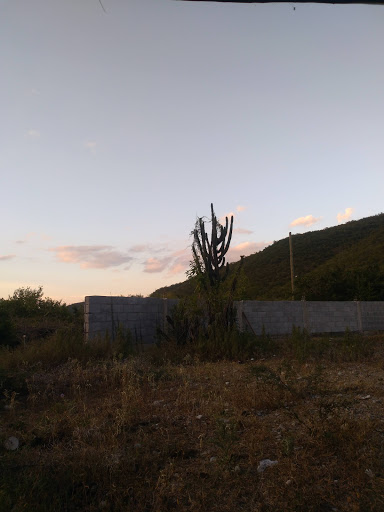 FINCA ARETO - Thumbnail