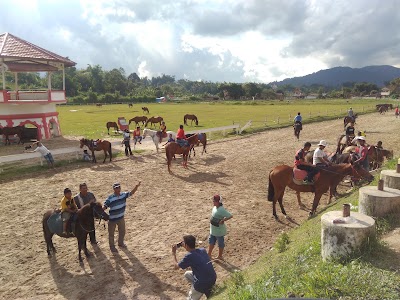 Photos of Pacuan Kuda Bukittinggi/agam