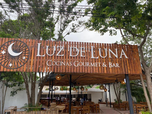 Gourmet American Cuisine