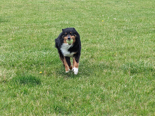 Woof Run Dog Park - Thumbnail