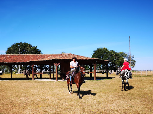 Destinations Cheval - Thumbnail