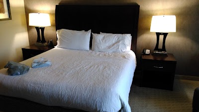 Photos of Hilton Garden Inn DFW North Grapevine