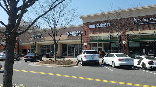 Lansdowne Animal Hospital Gallery - United States