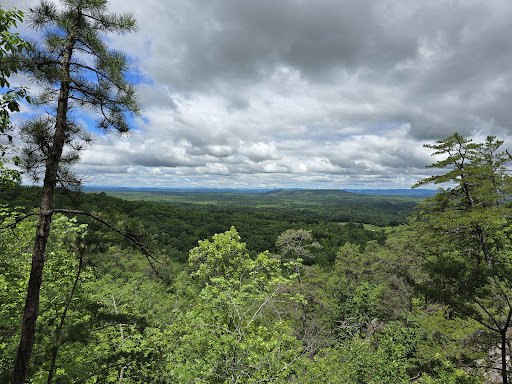 Tory's Den Cave Gallery - United States