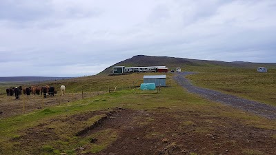 Photos of &Aacute;fangi - Upprekstrarf&eacute;lag Au&eth;k&uacute;luhei&eth;ar