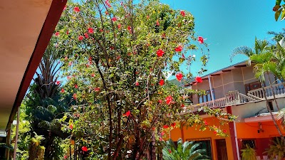 Photos of Hotel Santa Ana