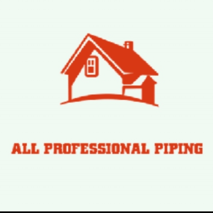 ALL PROFESSIONAL PIPING