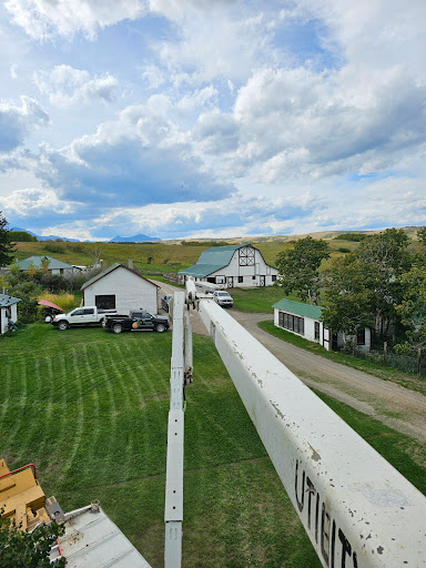 Dandyman Tree Service - Visual