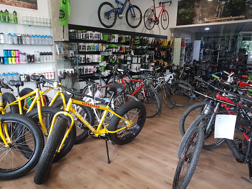 BIKEST - Visual