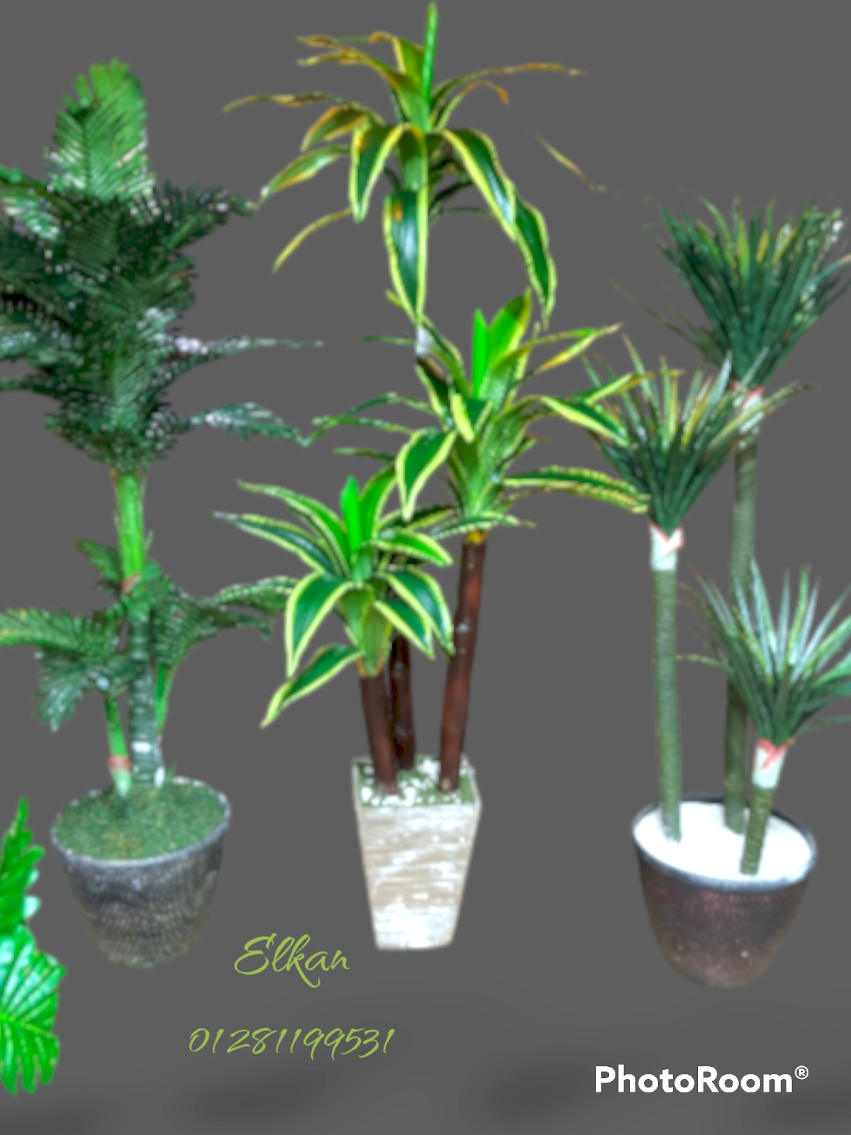 Sondos flowers elkan - صورة 3