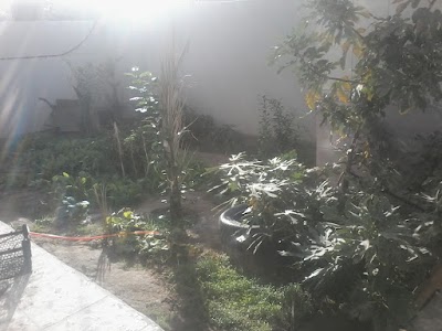 Photos of المجلس البلدي