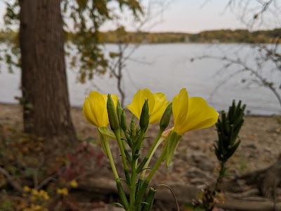 Illiniwek Campground