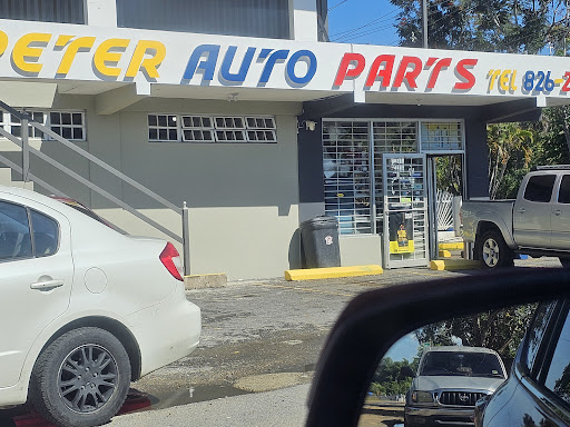 Peter Auto Parts