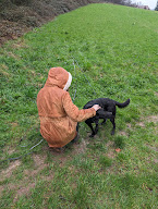 Code canin Educatrice coach Comportementaliste Canin à Montville