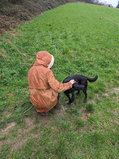 Code canin Educatrice coach Comportementaliste Canin