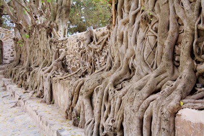 Photos of Fasilides' Bath