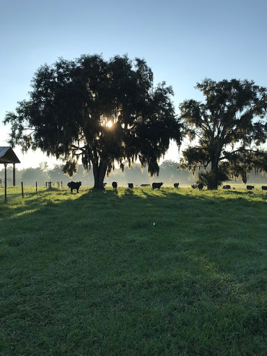 Riverbend Cattle Company
