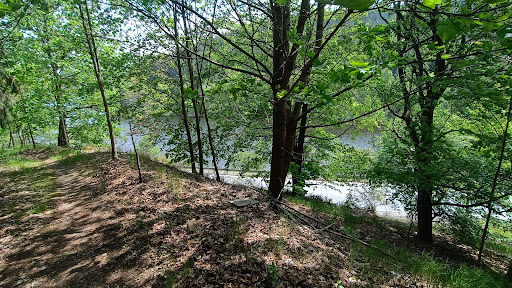 Saaldorf Gemeinde - Visual