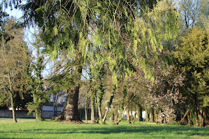 Photo n°7 de Clos Marie à Iguerande (Maison d'hôtes)