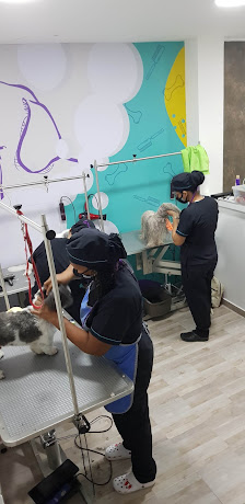 Fotografía de Riopet Centro Médico Veterinario Del propietario