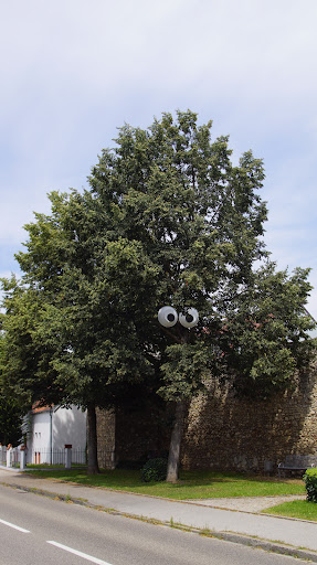 Sehender Baum - Visual