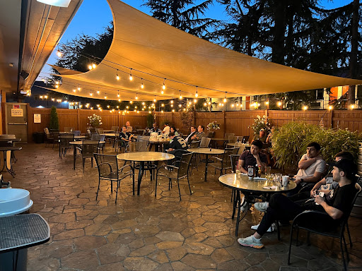 Dino's Pub - Visual