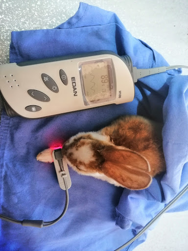 Hospital Veterinario PROBIVET