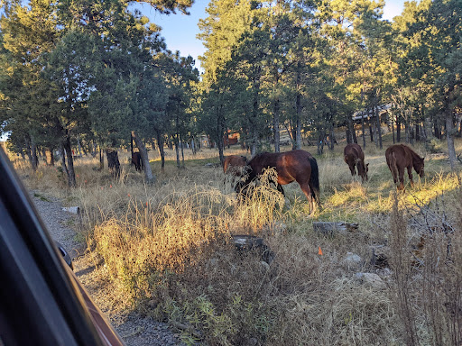 USDA Forest Service - Supervisor's Office - Thumbnail