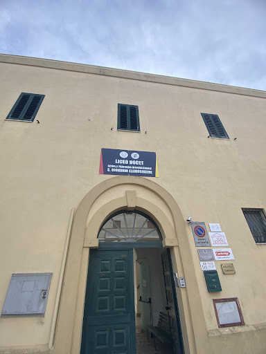 Liceo Docet - Visual