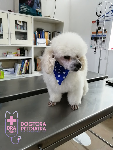 Veterinaria de la Dogtora Petdiatra