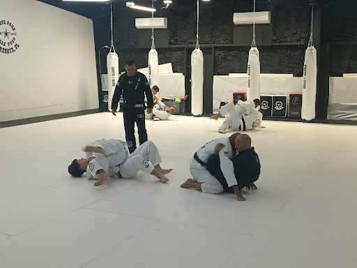 Chute boxe Brazilian jiujitsu, Muay Thai, capoeira - Thumbnail