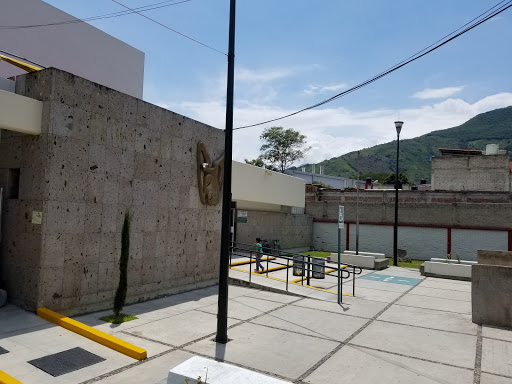 Imss Clinica N°19