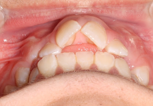 Porto Europa Dental S L Logo