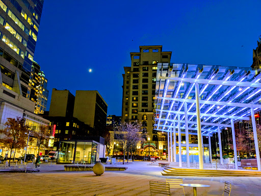 Director Park - Visual