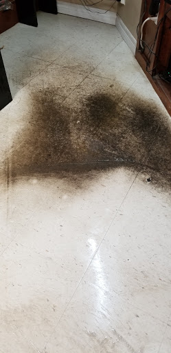 Devochelle Cleaning Services - Visual