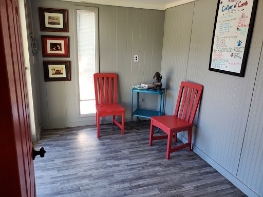Collar N Comb Pet Parlor - Thumbnail