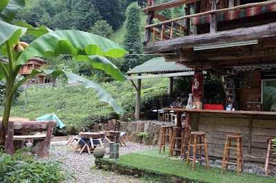 NATURE BUNGALOWS