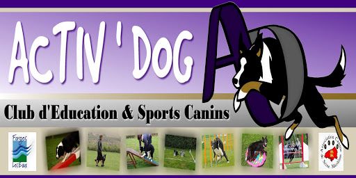Activ'dog - Visual